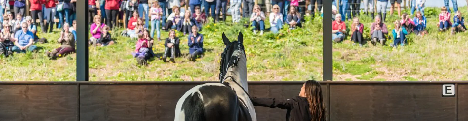 Cannock Chase Trekking Centre