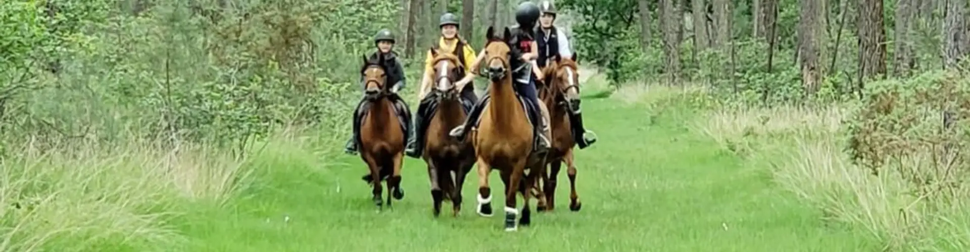 EARL CENTRE EQUESTRE DE PIROU