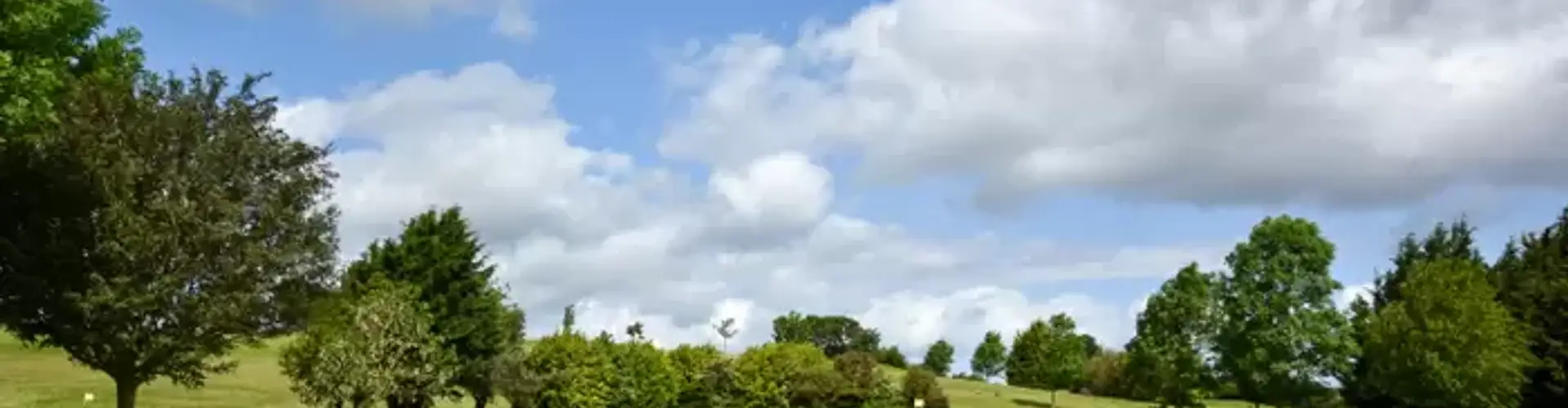 Flint Mountain Park Golf Course