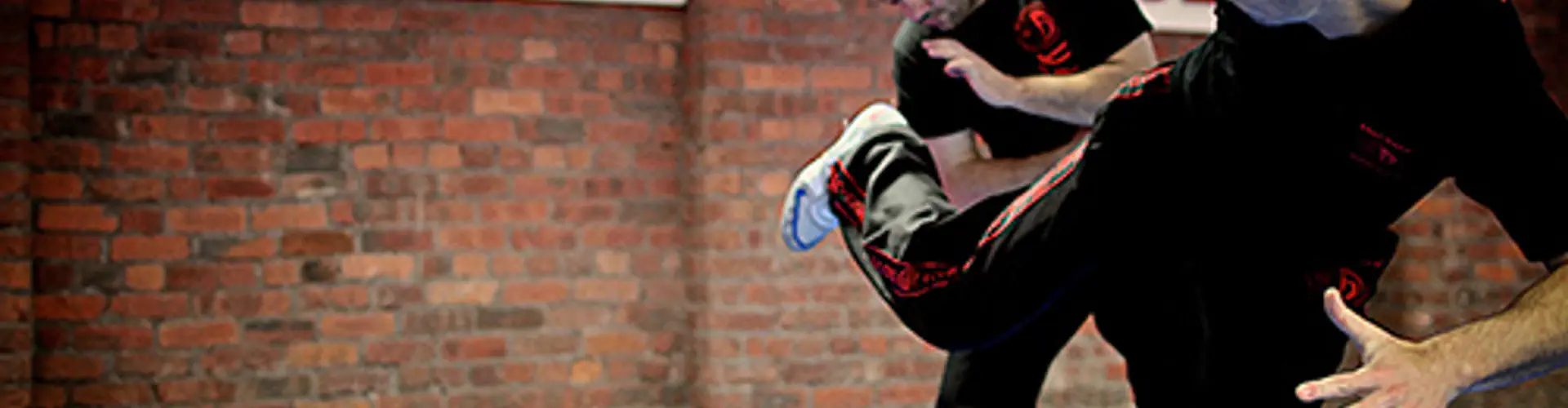 Adrian's Transilvania School of Krav Maga