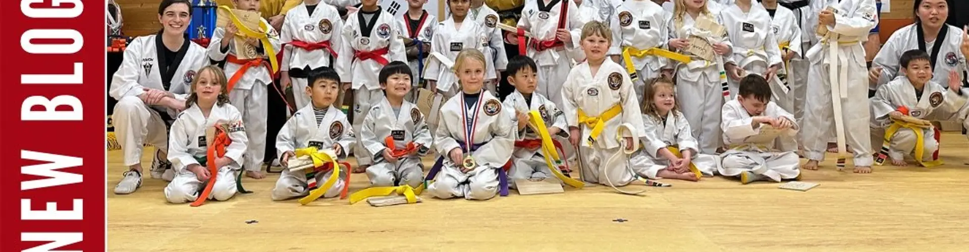 Changs Taekwondo - Martial Arts Mission - Taekwondo Mission