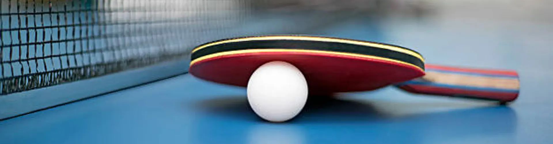 Stage de tennis de table au Vigneau
