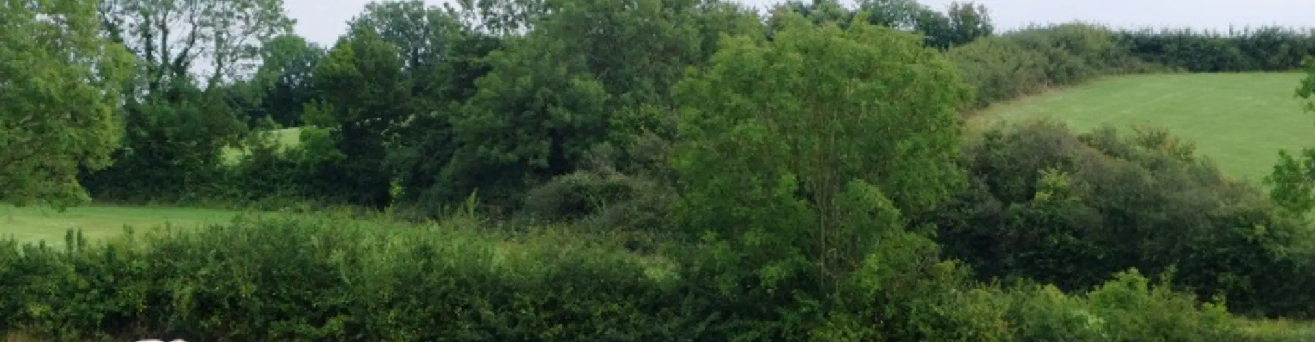 Hulberts Green Riding Centre