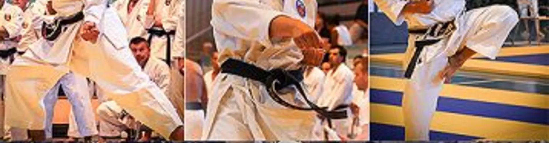 Karaté Oshukai Nimes