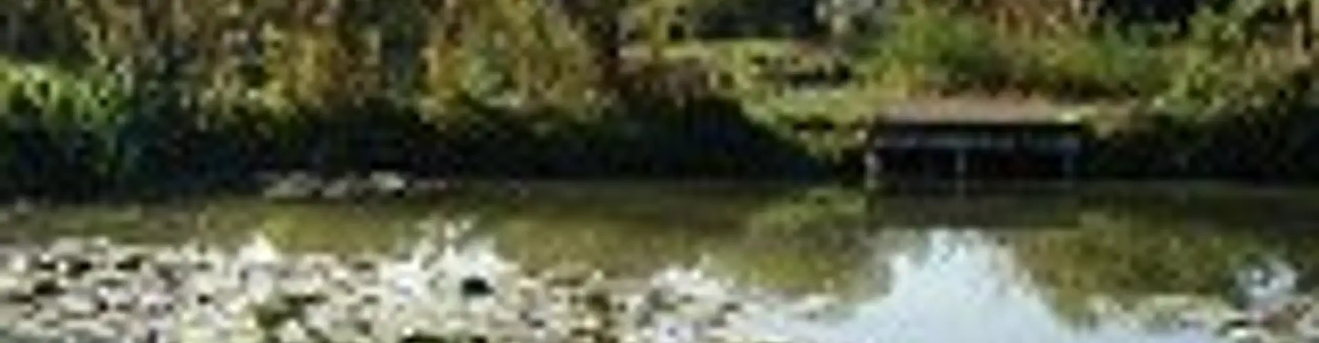 Century Ponds