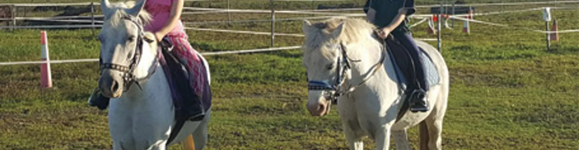 CONCISE EQUESTRIAN CENTRE, MACKAY