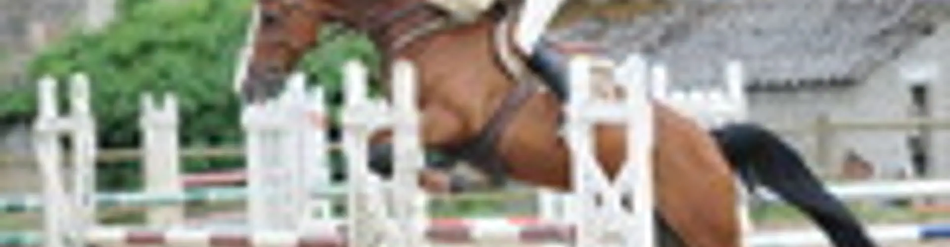CENTRE EQUESTRE DU LIMOUSIN TEXONNIERAS