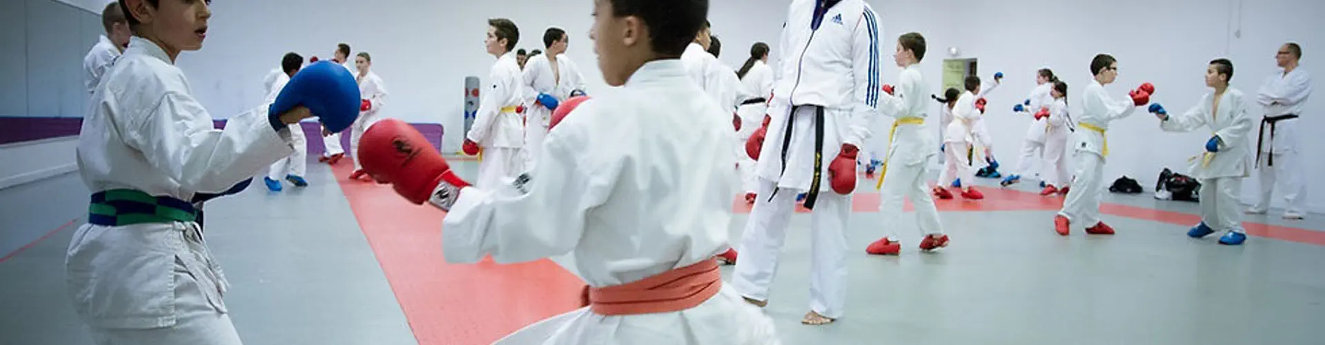 Okinawa Karate Club
