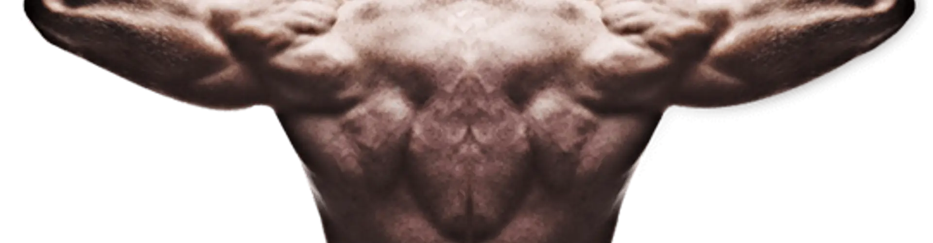 Bodysharp Studio Fitness Academy