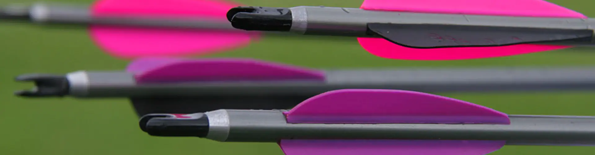 Bowmen of Danesfield - Archers of West Somerset