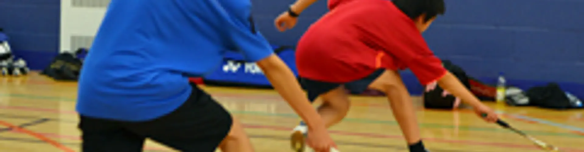 Hurst Badminton club