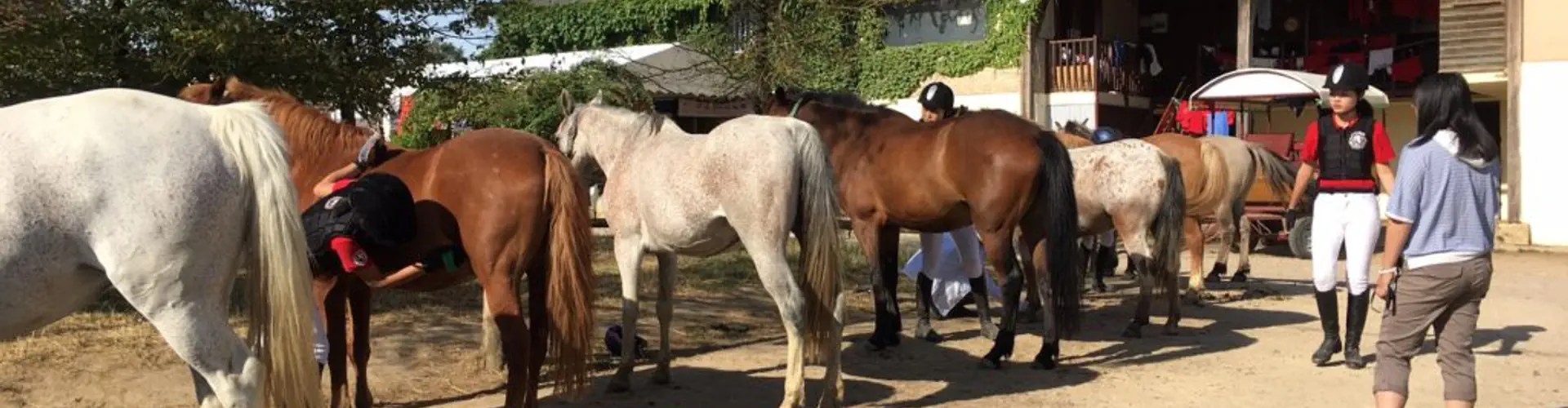 CENTRE EQUESTRE DE L EPINEAU