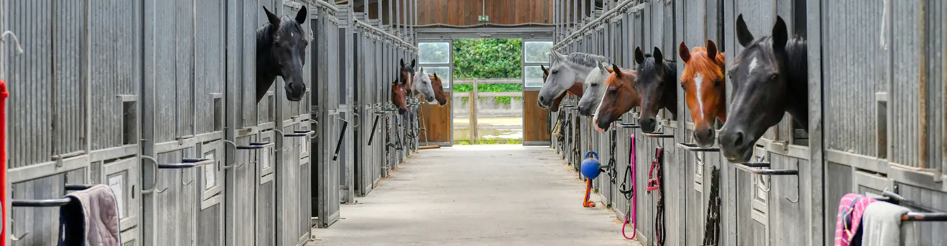 Equestrian Club Du Forest