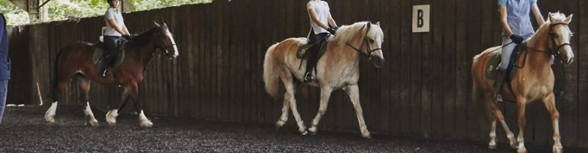 High Beech Riding School