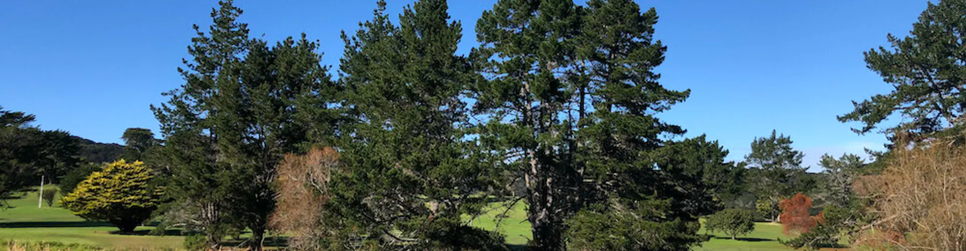 Waiheke Golf Club