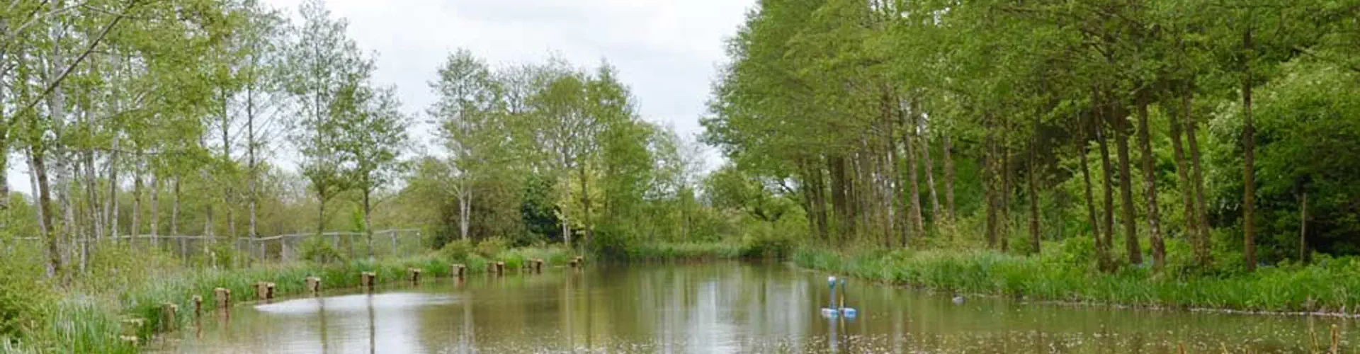 Alvechurch Fisheries