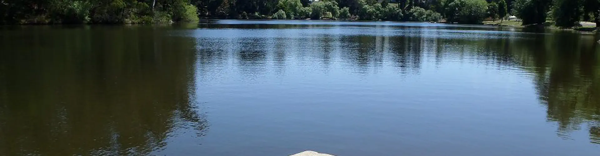 Lake Daylesford Swimming Jetty