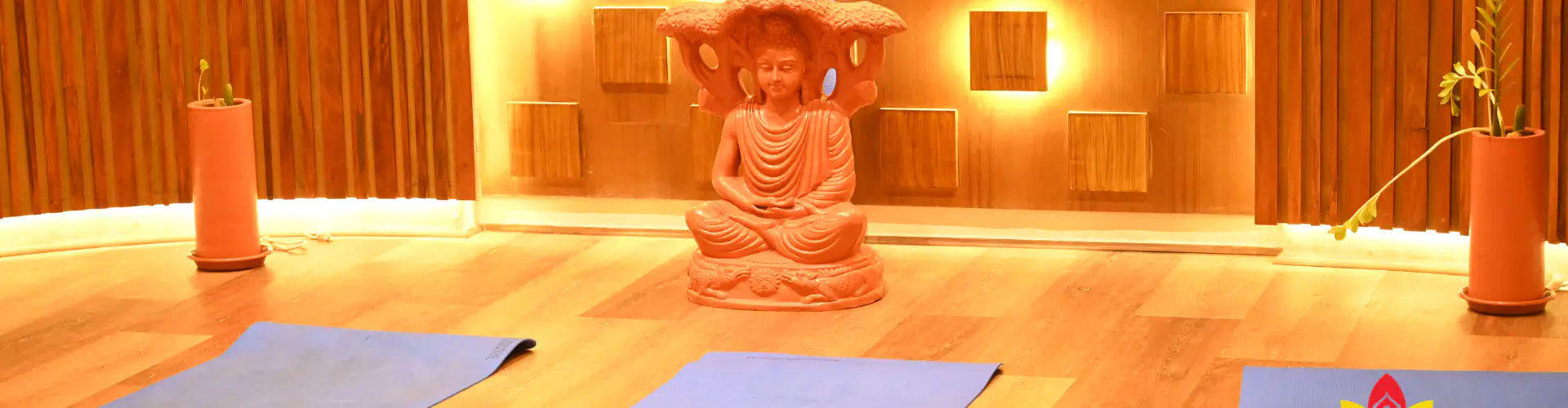 Manappuram Yoga Centre Thrissur (Mayoga Thrissur)