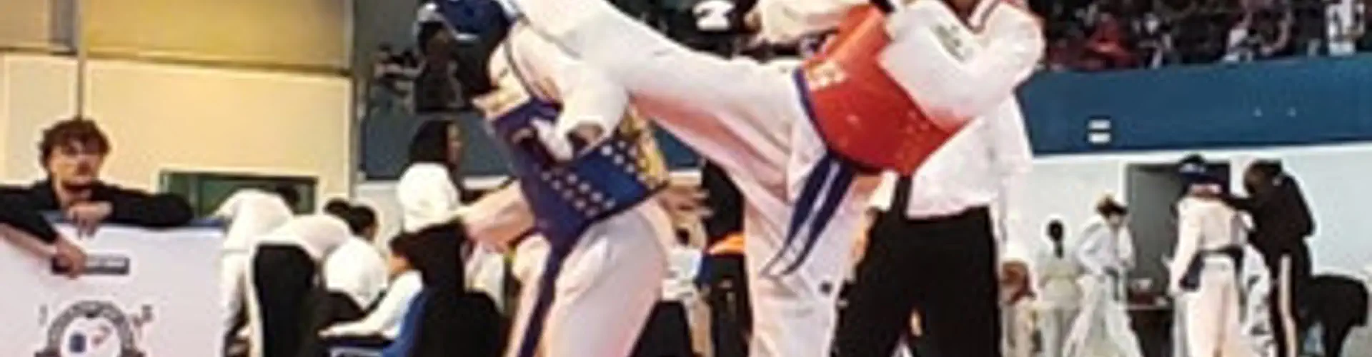 Montgeron Taekwondo