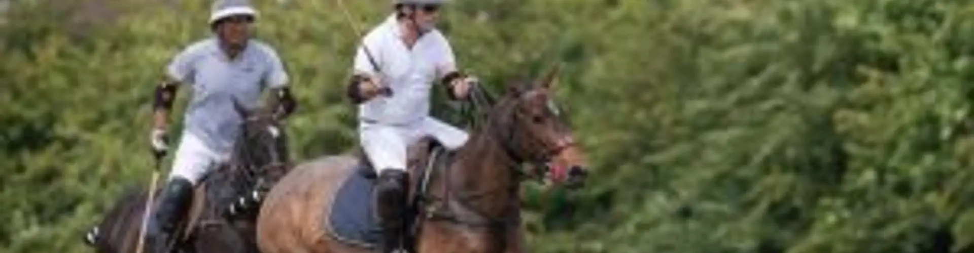Fifield Polo Club