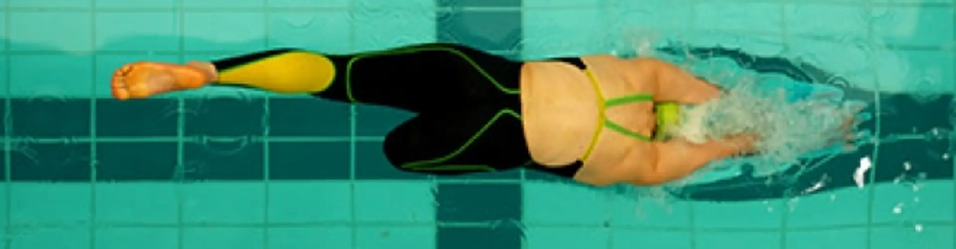 SwimExpert