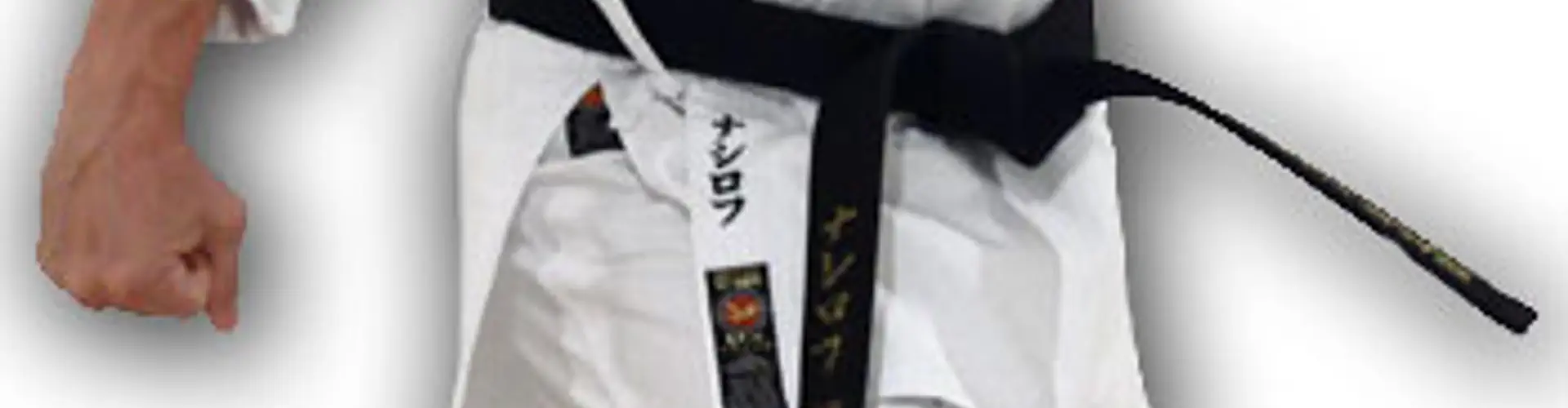 Sensei Roman Nasirov