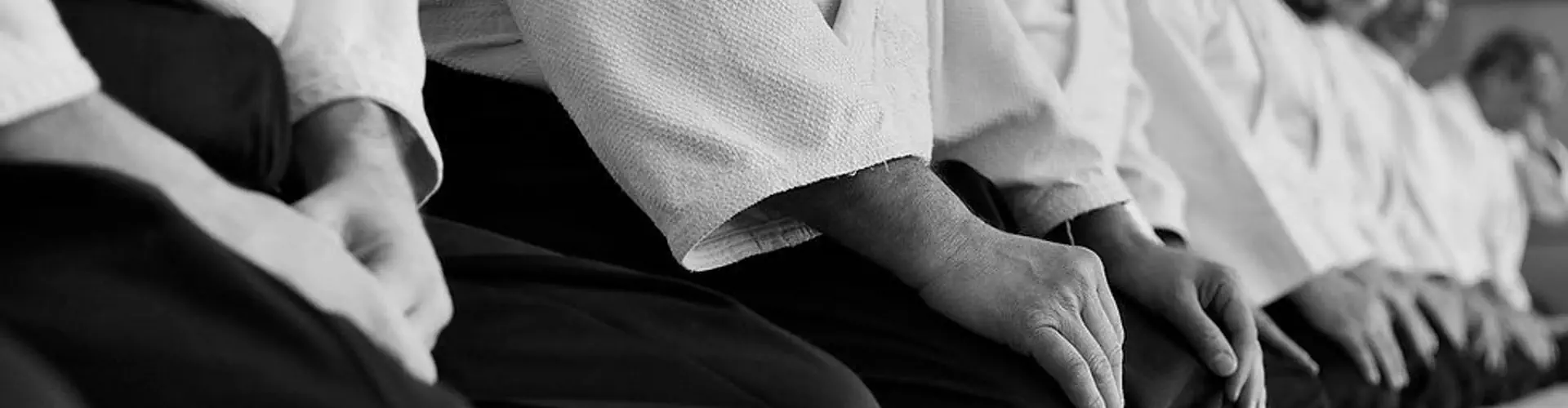 Aiki Dojo De Marseille