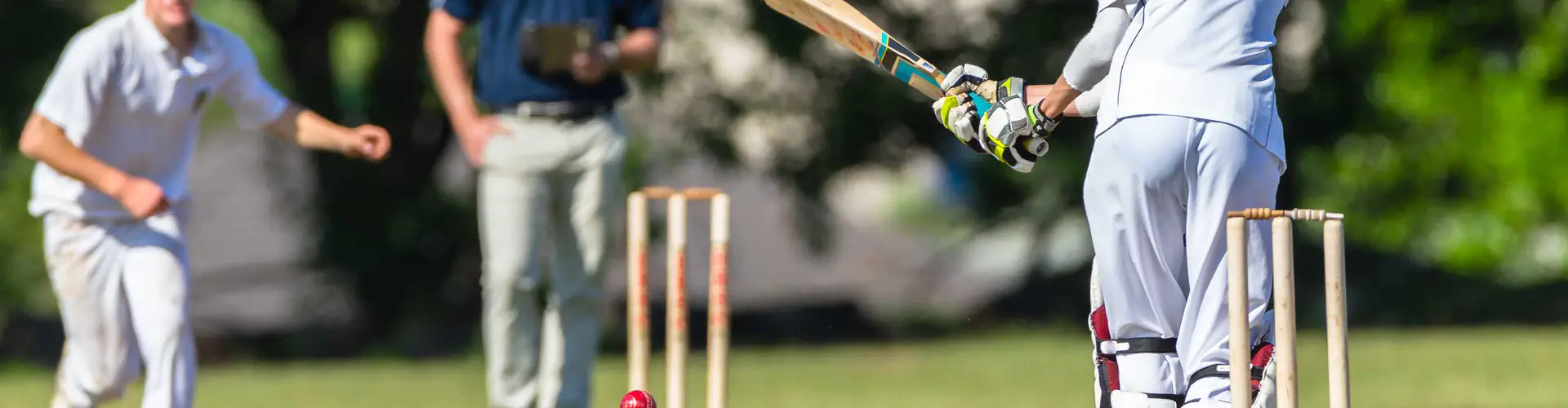 Nsc Cricket Academy Hyderabad