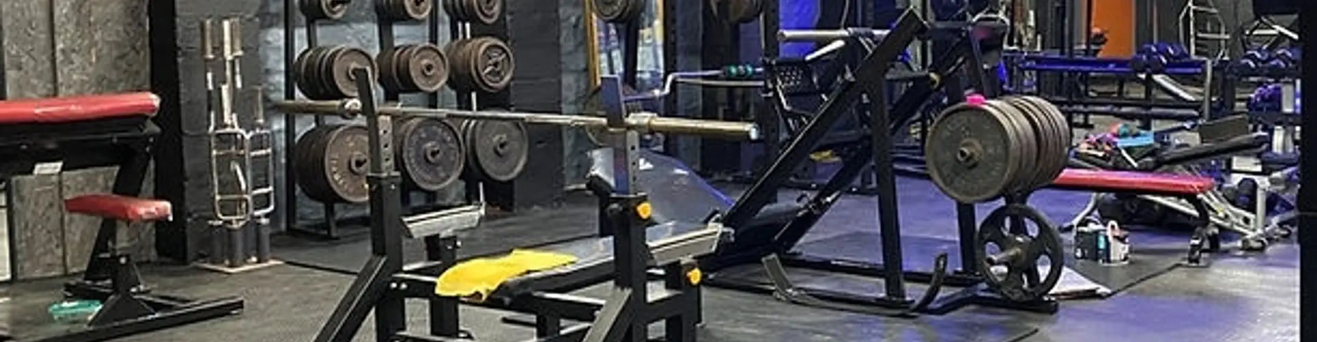 Arena strength and fitness gym