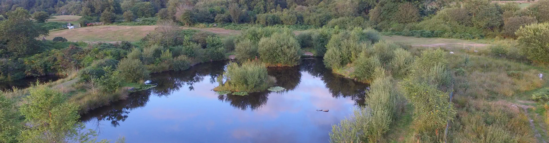 Bait fishing for Rainbow Trout at Greenhill Fishery Island Pool