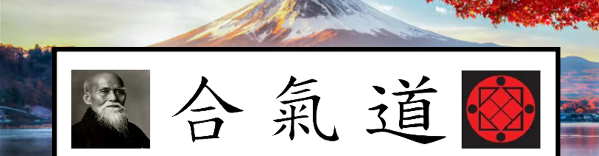 Kobukan Aikido Association (Gateshead)