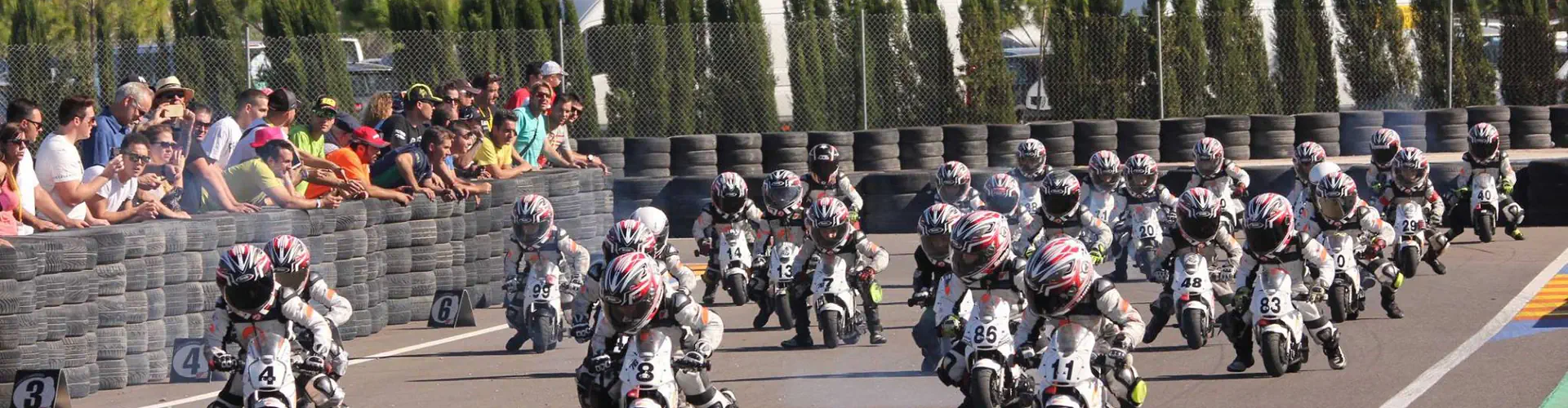 NSW MiniMoto Club 