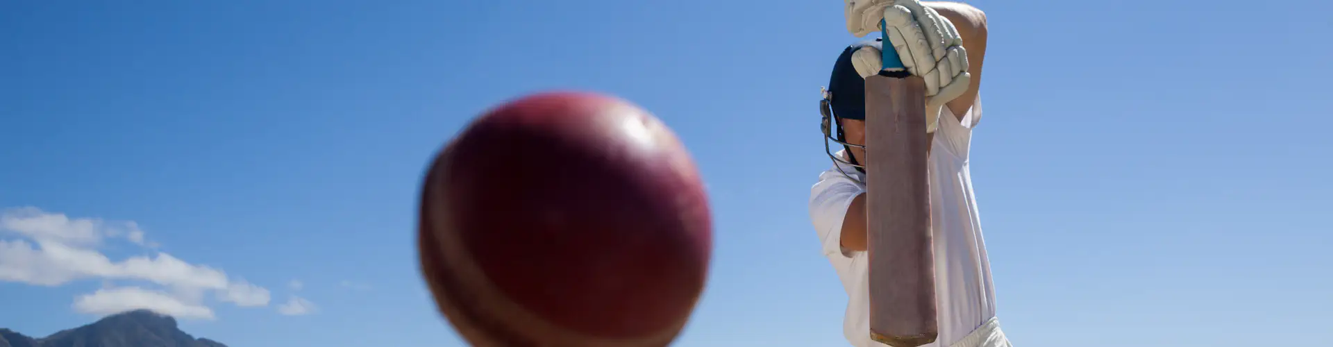 Manly Warringah Cricket Coaching School