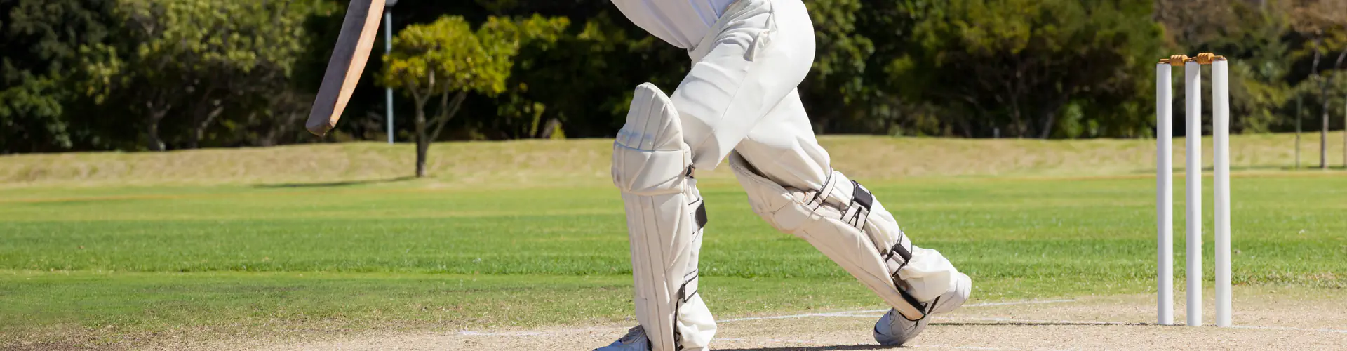 Harbord Diggers Cricket Club