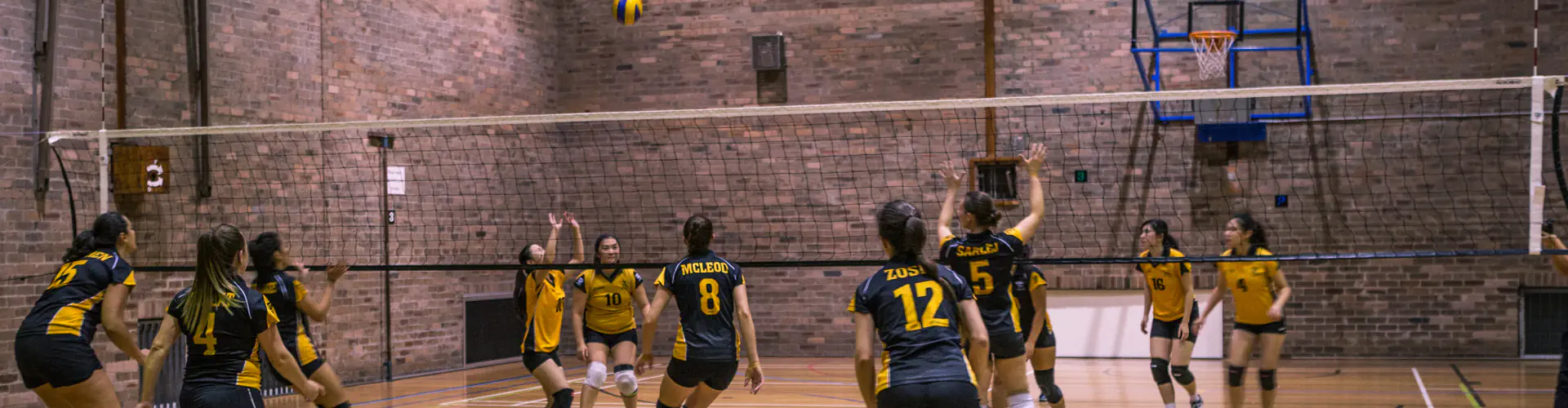 UNSW Volleyball