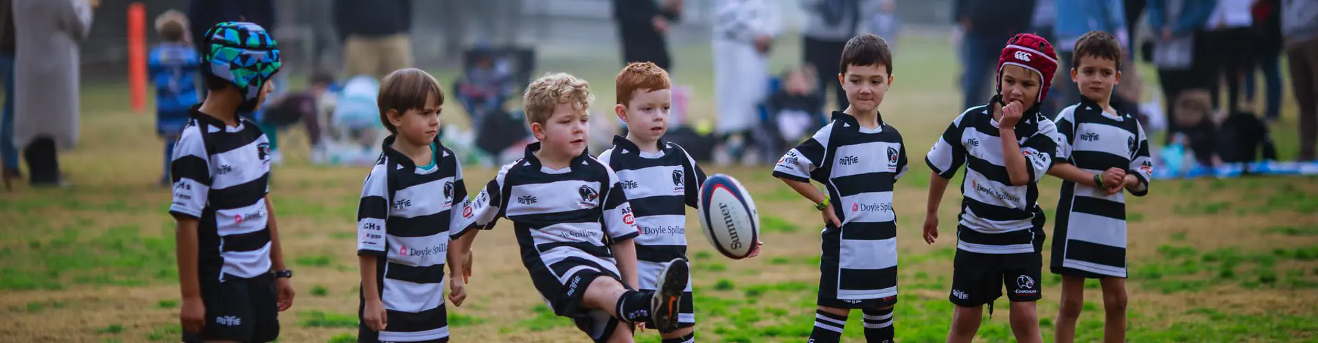 Collaroy Cougars Rugby Club
