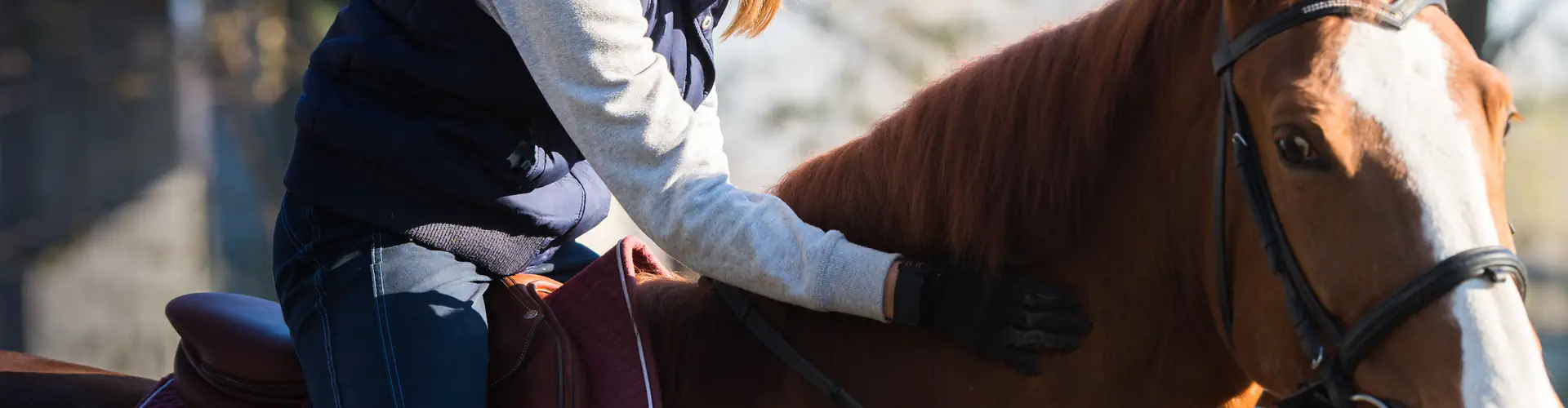 Manly Warringah Pittwater Pony Club