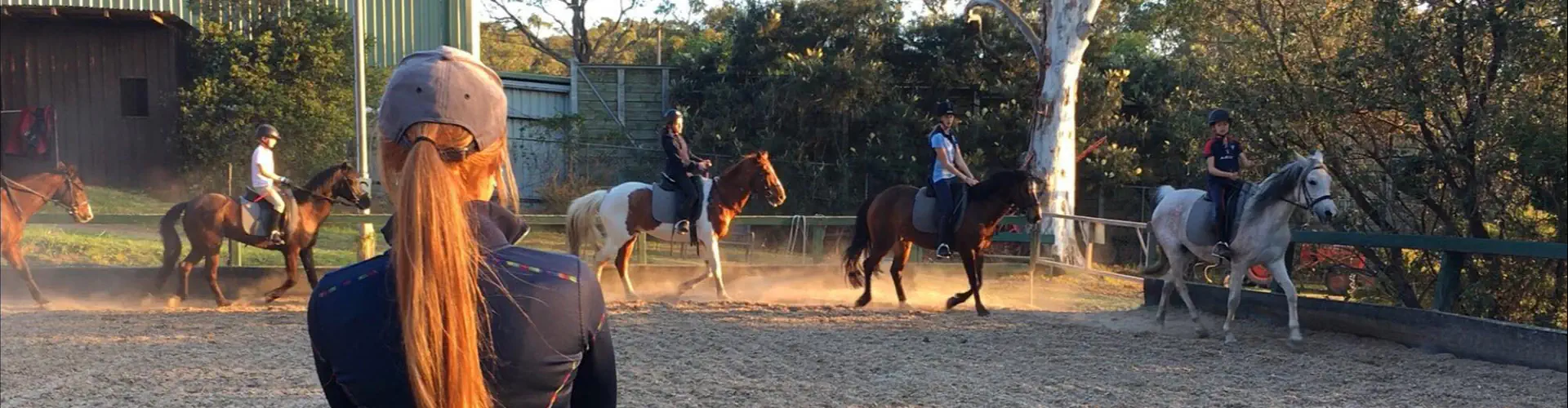 Palomino Riding School