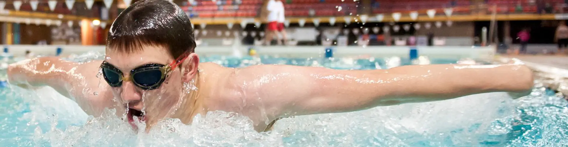 Warringah Amateur Swimming Association