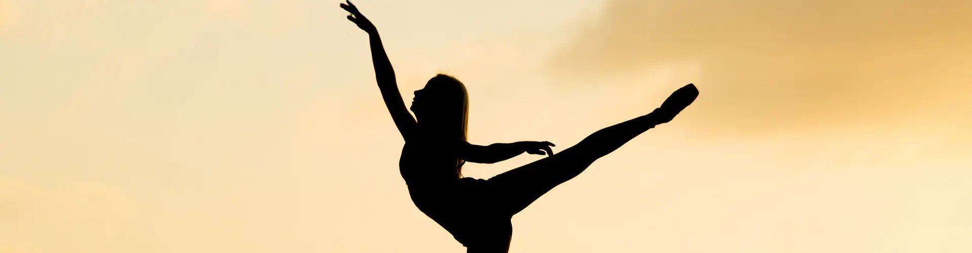 The Teresa Johnson Ballet School