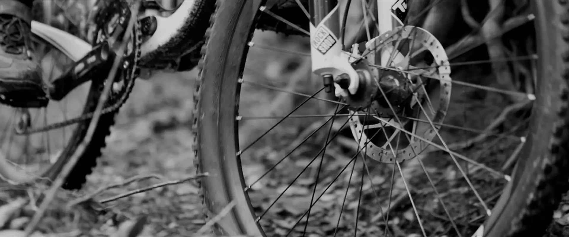 Davagh Forest Trails - MTB Trailhead