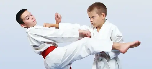 Sei Jou Kai Ju Jitsu