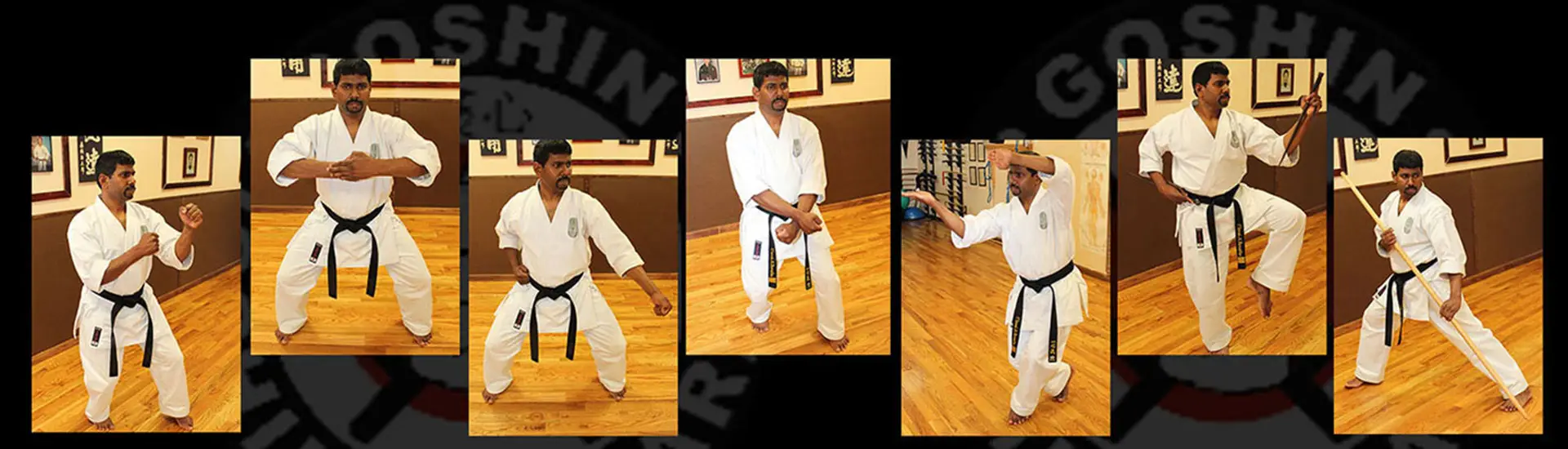 Goshin Isshinryu Karate Association