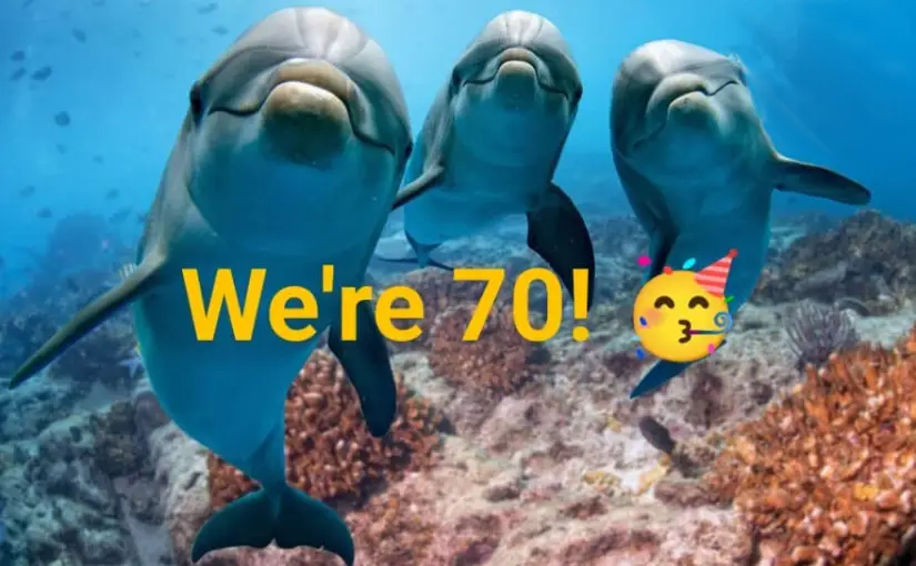 Sans Souci Dolphins Spearfishing Club