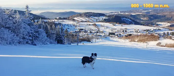 Ski Krahule