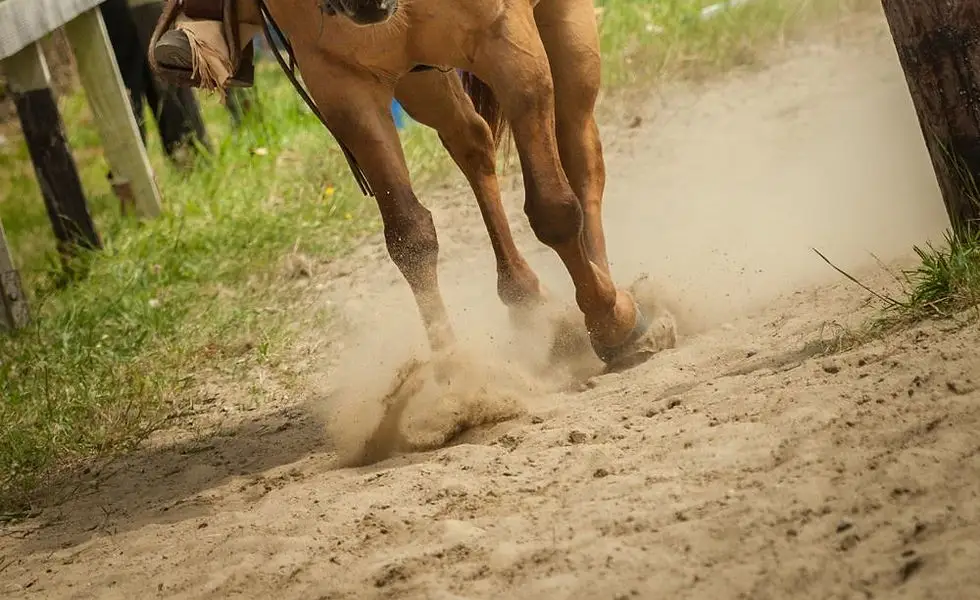Western Breiz'h