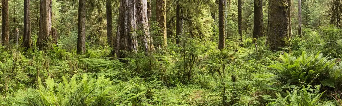 Mother Earth Yoga
