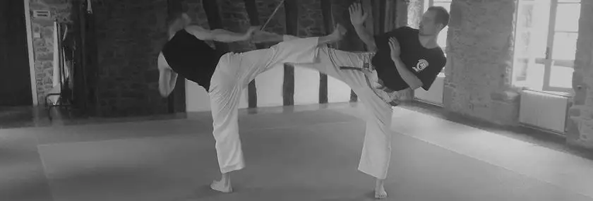 Tenchi Chushin Ryu