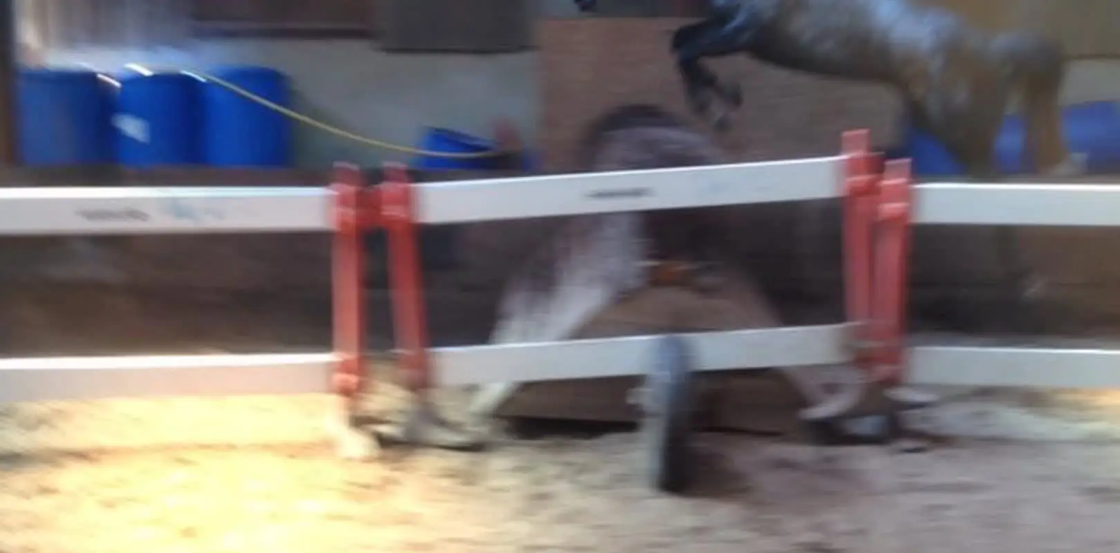 Red Hill Farm Gallops