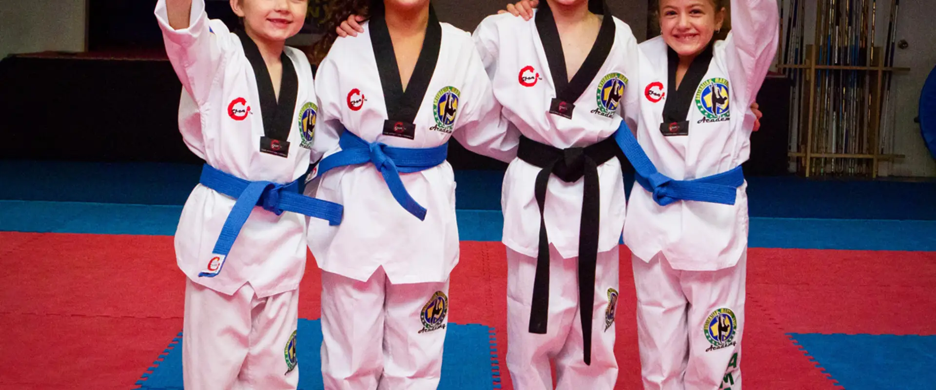 Australian Martial Arts Academy Sydenham